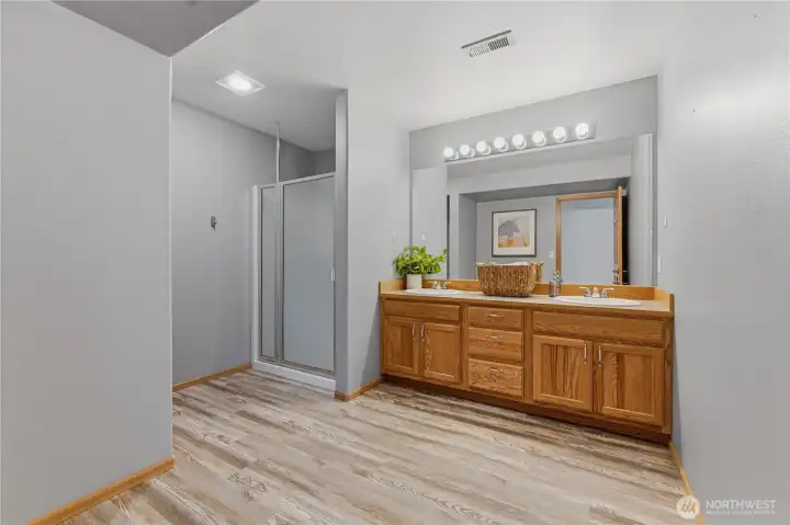 Lower Level Bath