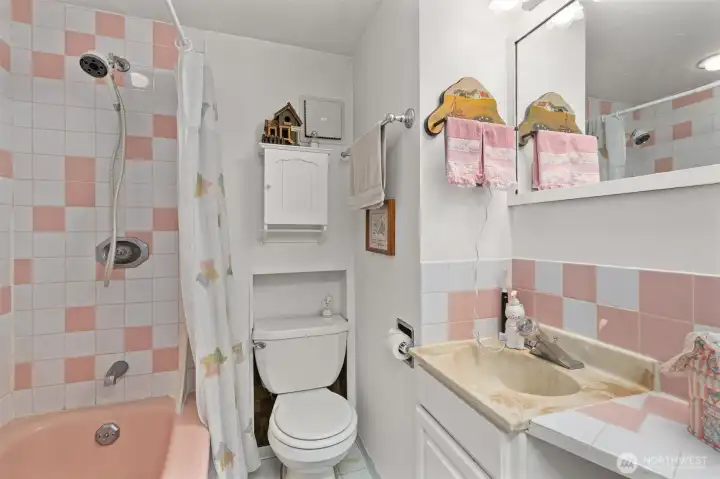 I love the retro feel of the lower level full bath!