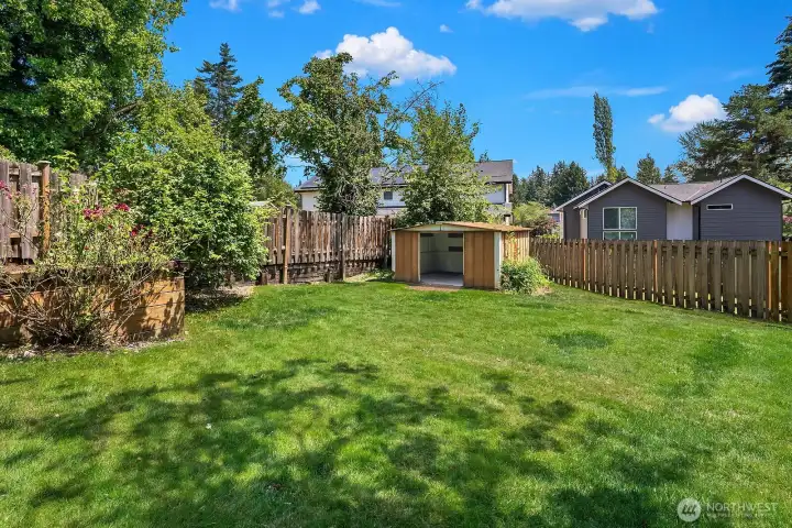 The expansive fully fenced backyard features a generous lawn, garden shed, and raised planter boxes, offering ample space for gardening, pets, and outdoor activities. The expansive fully fenced backyard features a generous lawn, garden shed, and raised planter boxes, offering ample space for gardening, pets, and outdoor activities.