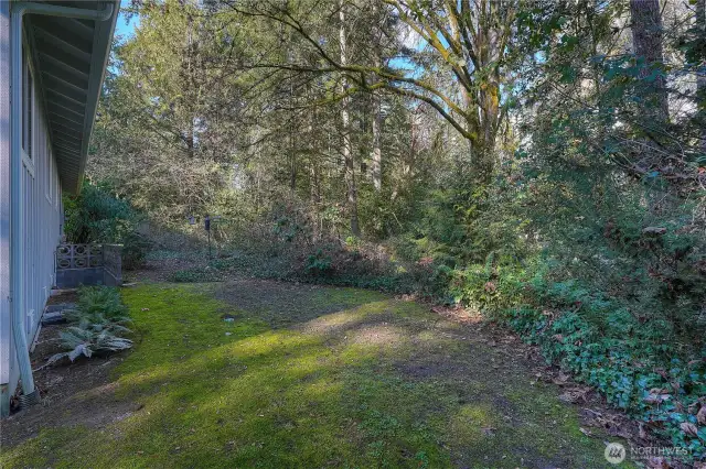 Side yard where the birds play! Basement access well with decorative cinderblock pony wall.