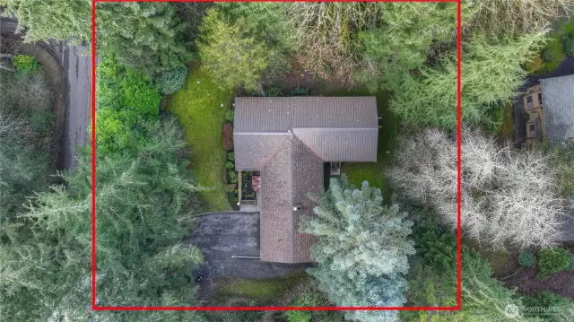 Overhead view of the shy 1/2 acre private lot with established grounds, showing the approximate border of the lot