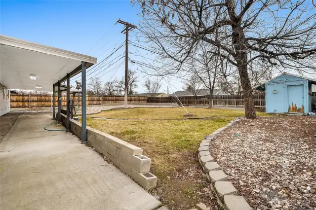 This is a wonderful shade tree in the summer, and the shed will house your garden and lawn implements.