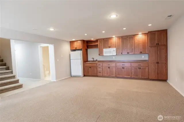 Family room, lower level