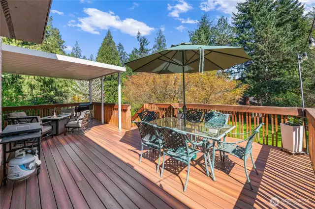 Entertainment size deck
