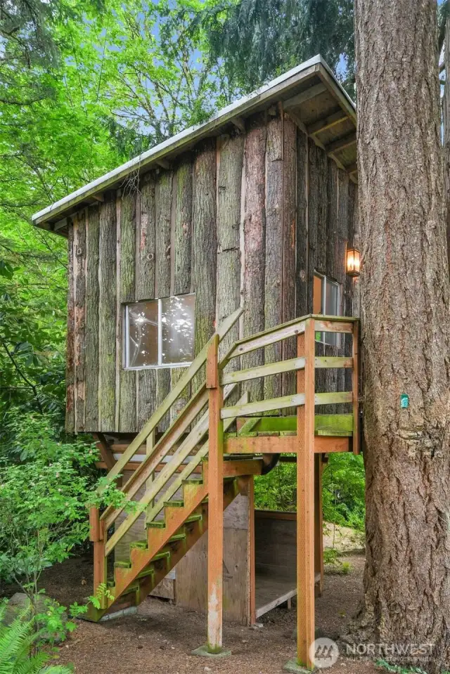 Unique treehouse with electrical hookups, offering an ideal space for a neighborhood clubhouse or gathering spot.