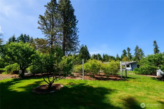 The back of the property is truly a gardener’s paradise, bursting with life and color. You'll find a variety of flourishing fruit trees and massive, well-established blueberry bushes that produce more than you could ever eat—perfect for sharing, freezing, or turning into homemade treats.