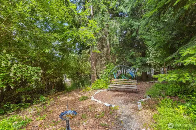 Professionally Landscaped Yard