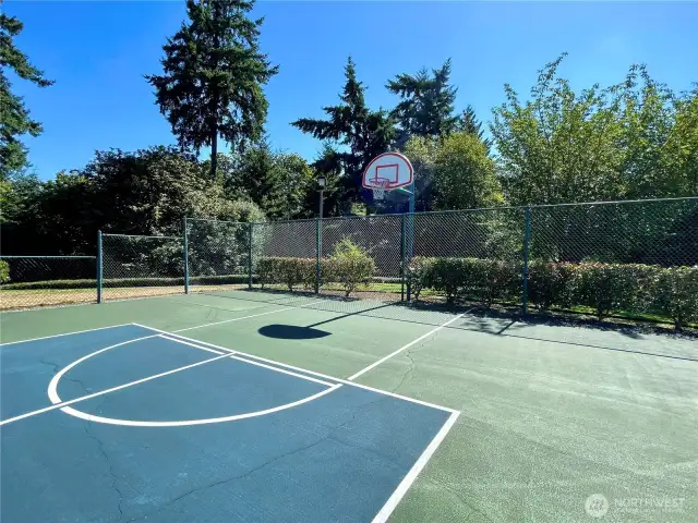 Basketball Court