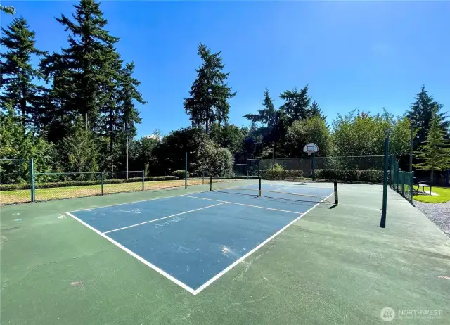 Pickleball Court