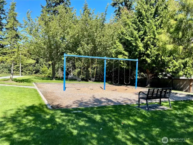 Swing Set