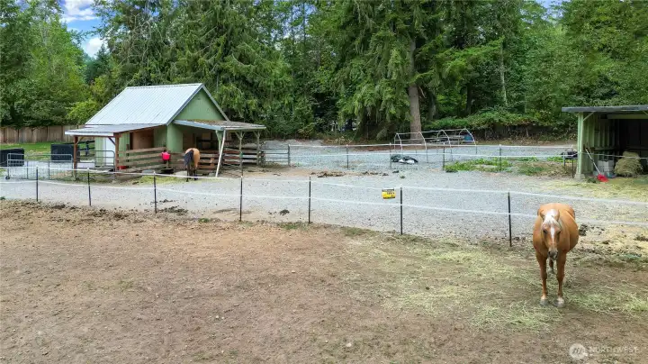 Horse paradise!
