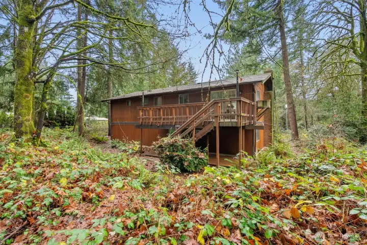 Wooded, private one acre lot