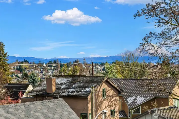 Expansive outlook with Mt Rainier in the vista