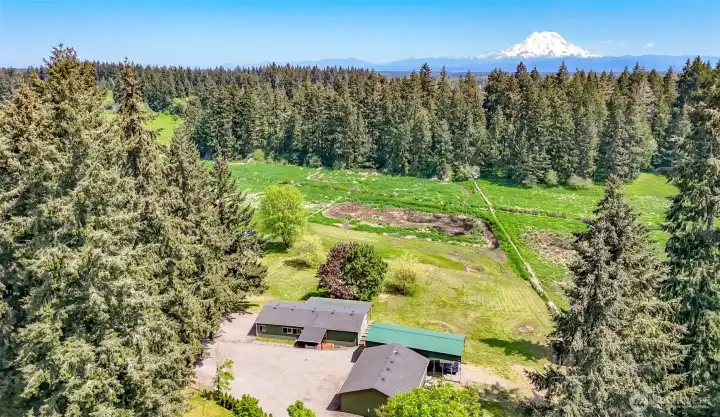 Property line is just on the other side of the trees.