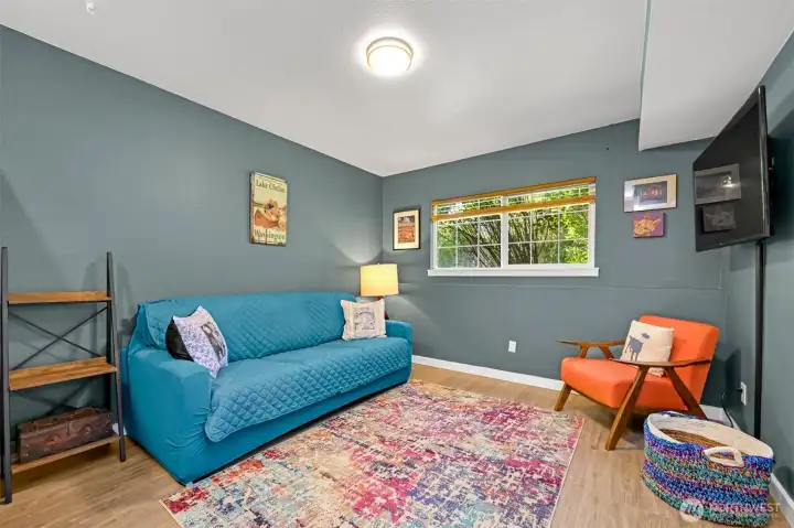 Lower level family room