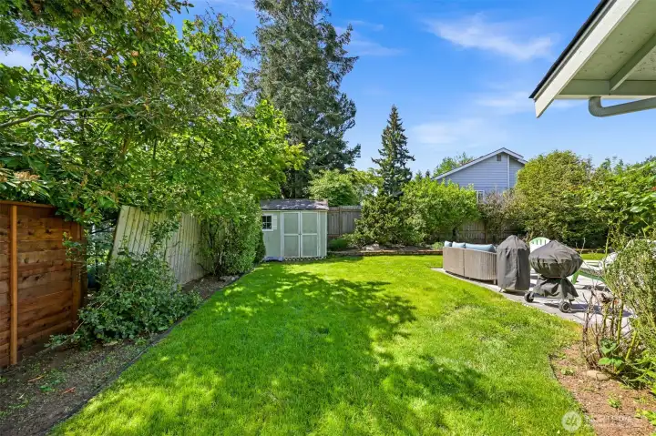 Side yard showing the shed