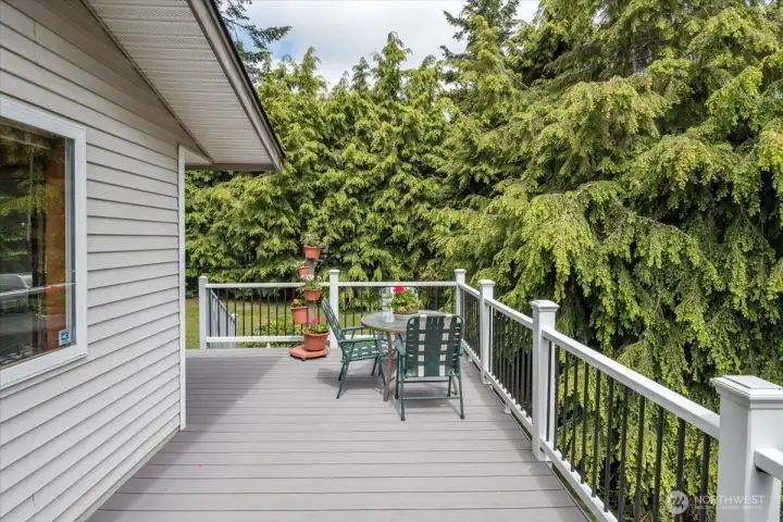 New composite deck which overlooks the back yard. Access to the deck from inside the home or from the backyard.