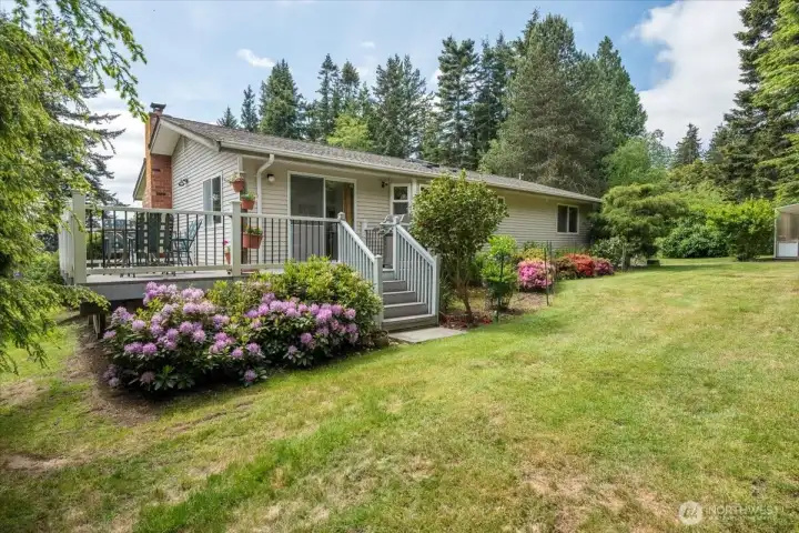Backyard off deck
