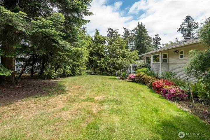 Backyard of home