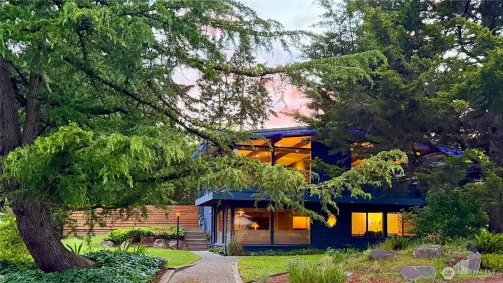 Peek through the old growth trees to see your dream mid-century mod home