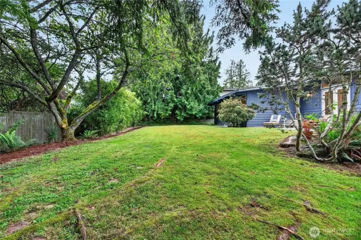 Look at this large flat lot!