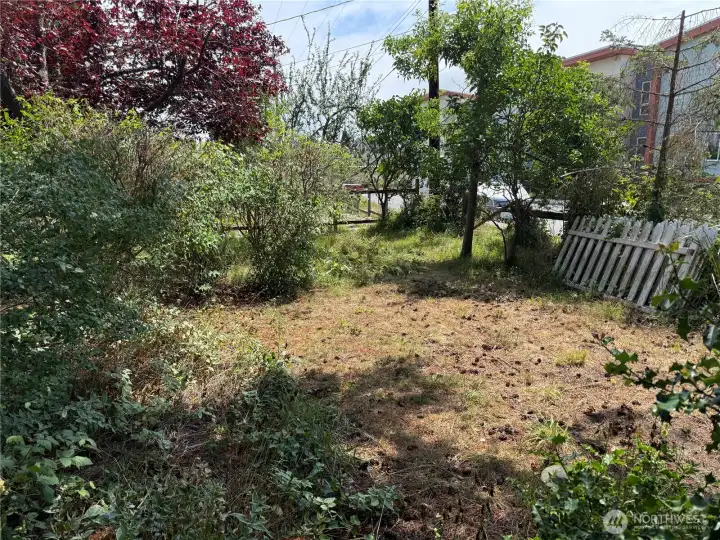 Front yard