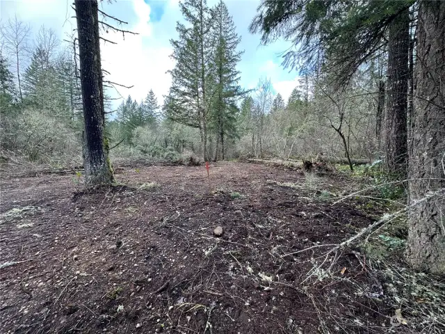 Cleared Area for Well Drilling Site. Stake marks location.