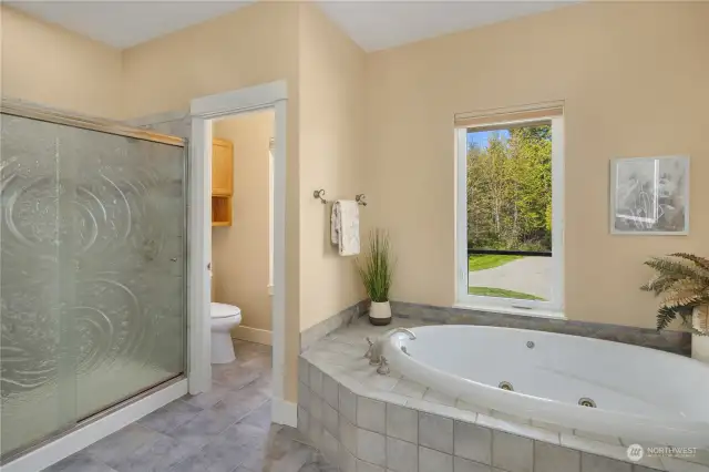 Soaking tub, separate water closet, stunning shower door~