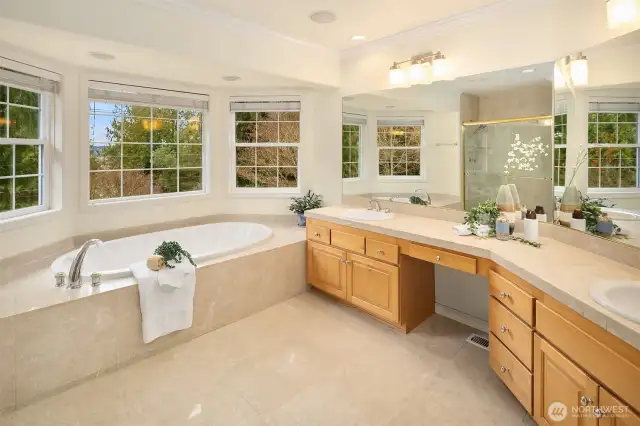 Primary Suite Bath