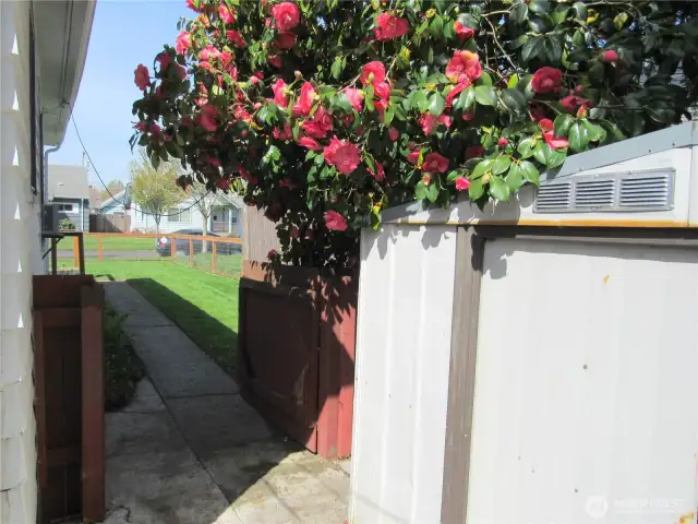 Shed Off Garage