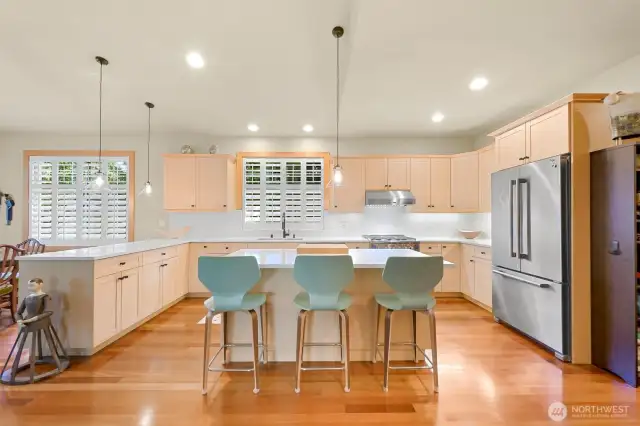 The kitchen is a dream. Tons of counter space, eat-in island, high end appliances, lots of light, room to work.