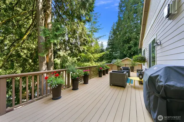 The big deck has plenty of space for entertaining, grilling and chilling.