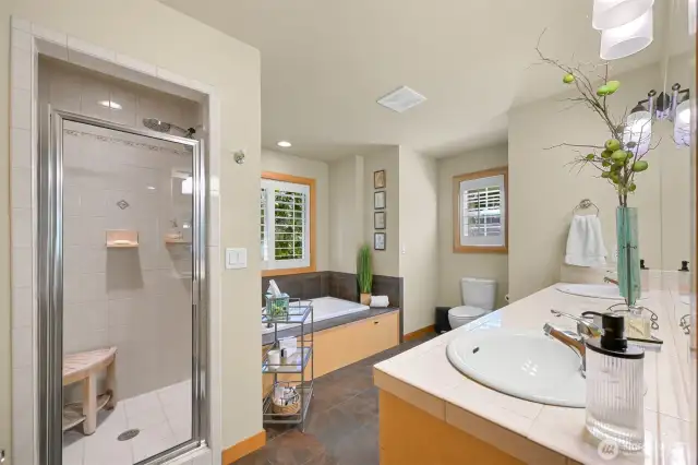 Primary bathroom