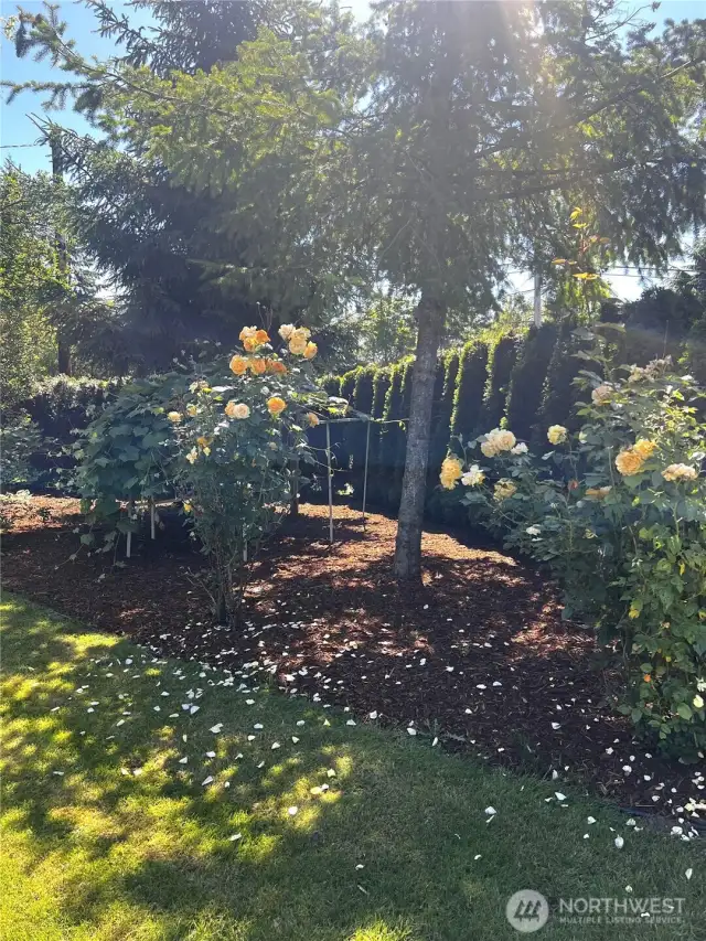 Beautiful landscaping everywhere you look.