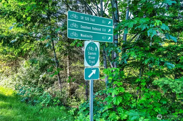Walk your dogs, run, or bike on the popular Sammamish River Trail