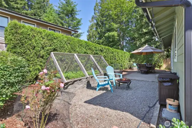 Raised garden beds (with plenty of fresh Strawberries), arborvitae shrubs for privacy, & fire pit area. Such a wonderful way to spend the summer months.
