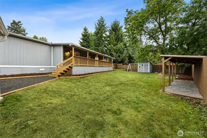 Large Backyard