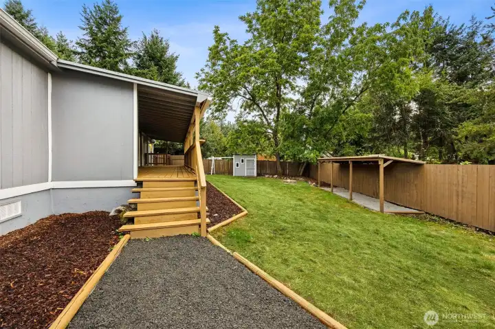 Backyard