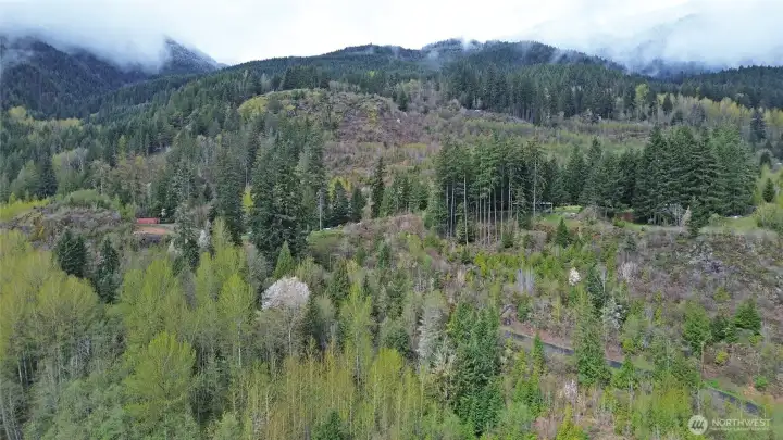 Surrounding foothills at the base of the Cascades