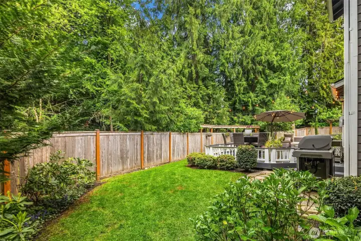 Level Grass Lawn