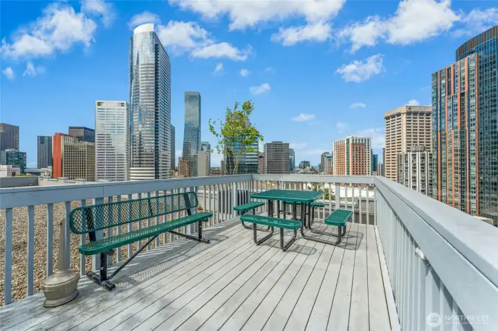 One of Two Roof top decks with commanding views of City Skyline