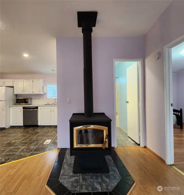 Wood stove for lower heat bills and cozy winter evenings