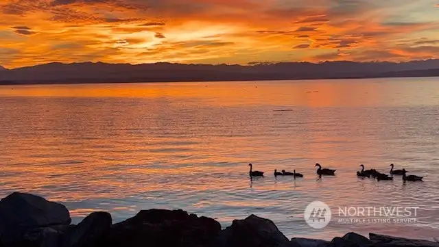 Or just relax at sunset with a glass of wine.