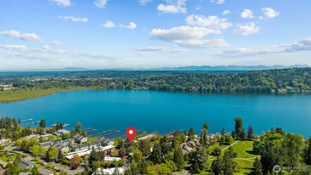 Life IS better at the Lake! Just in Time for Summer, Live the "Lake Life" on Beautiful Lake Sammamish Where Every Day Feels like a Vacation!