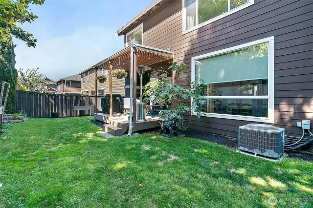 Healthy Lawn