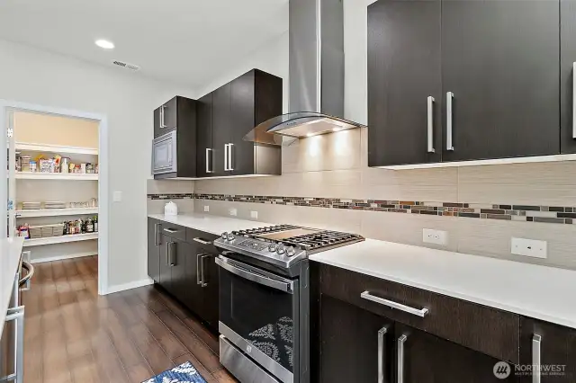 Large walk-through pantry off of kitchen.