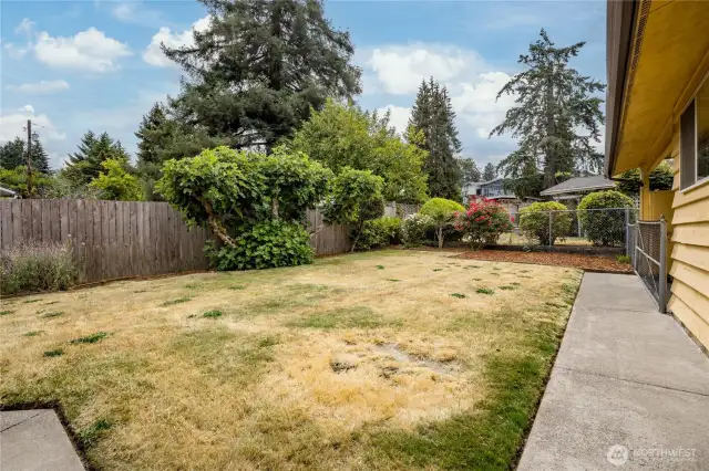 Fenced and level back yard