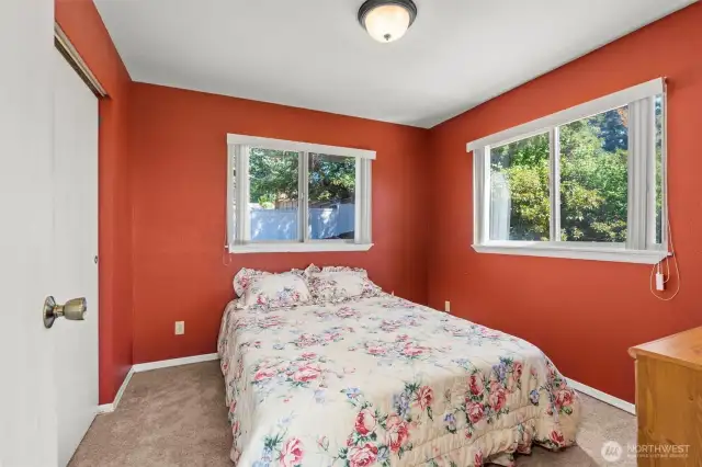 Lower Level Bedroom