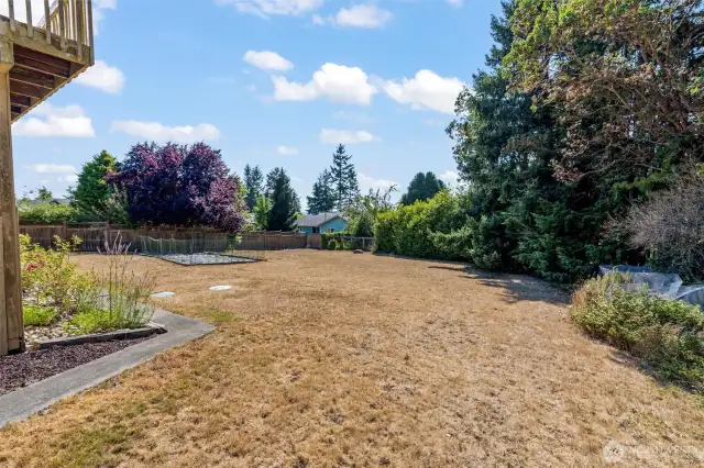 Spacious Backyard