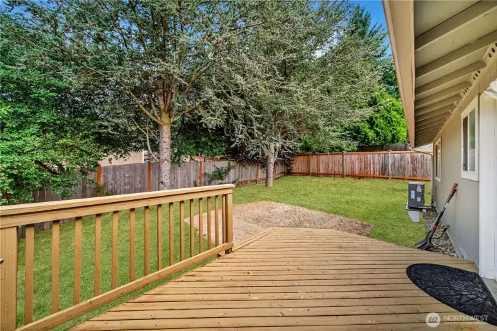 Back Deck